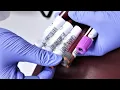 How much does a TRAVEL PHLEBOTOMIST 2024 Can you survive with the salary pay It s it worth it
