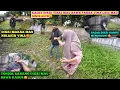 Download Lagu KAGET DIKRI BAWA KABUR VINA DIAM2 MAU DIPAKSA BUAT NIKAH‼️