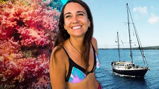 Sailors DIVE into PINK PARADISE 🍭 (Expedition Drenched S1 Ep.78)