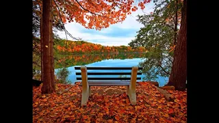 المعوذات وآية الكرسي مكررة سبع مرات بصوت الشيخ احمد العجمي 