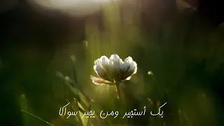قصيدة بك أستجير تأليف إبراهيم البديوي إلقاء الشيخ عبدالواحد المغربي  قصيدة بك أستجير تأليف إبراهيم البديوي إلقاء الشيخ عبدالواحد المغربي