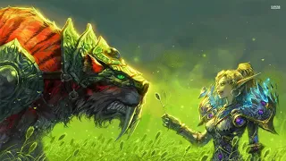 Wotlk PVE MM Hunter Prepull Prep no rotation