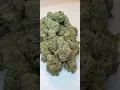 Alien Mints Cannabis strain review