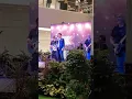 Download Lagu ☮️ Keluhan Perantau - JAMAL ABDILLAH - DATUM Jelatek 2022 ☮️
