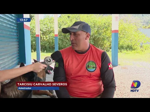 Cachorra ajudou no resgate de menina de 12 anos em Pomerode