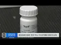 Researchers test pill to extend dog s life