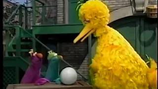 sesame street hatching a honker egg