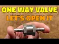 Download Lagu Bedtime quickie - inside a one way valve