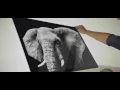 Introducing Microsoft Surface Studio