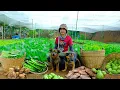 Download Lagu 7 Days Harvest: Lettuce, Choy Sum, Chayote, Winged Beans, Taro To Sell At The Market, Cook, Garden