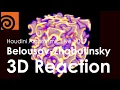 Houdini Algorithmic Live - Belousov-Zhabotinsky 3D Reaction English