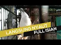 Download Lagu Cendet BISU, MIYIK dan LELET bakal gacor dengan terapi suara CENDET Full Isian