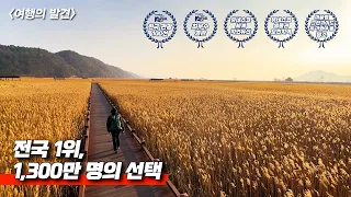 🚅  한국관광공사 선정 최우수 경관! | 1,300만 명이 선택한 대한민국 1호 국가정원 | 대중교통 당일치기 여행 썸네일