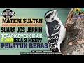 Download Lagu Masteran Sultan || Pelatuk Beras Gacor || Gemericik air || 2Jam Jeda 2 menit #pelatukberas, #pelatuk