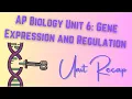 2019 curriculum Unit 6 Gene Expression and Regulation AP Biology RECAP