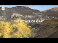 Using Grays to Enhance Color Matt Smith