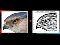 introduction to image thresholding and masking