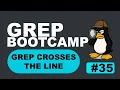 Grep Bootcamp 35 grep - z for JSON
