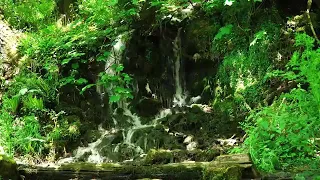 حالات واتس اب بصوت سعدالخطيب جميل ولقد نادانا نوح حالات واتس اب دينية تلاوة خاشعة حالات اسلاميةقصيرة 