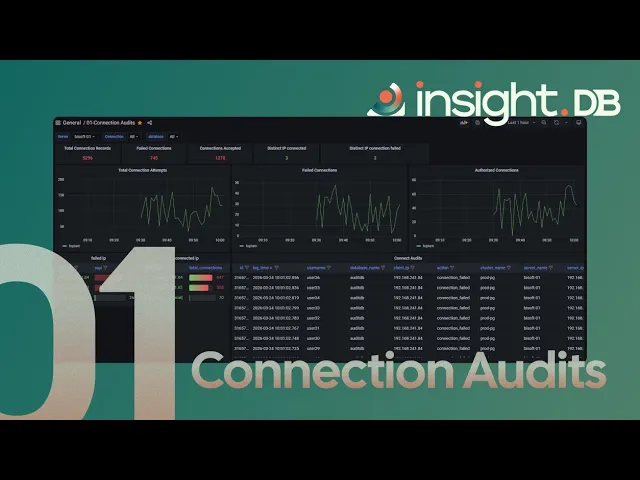 Insight DB Audit