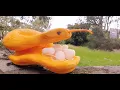 How to make Snake from Vegetable Carving Snake from Vegetable pumpkin carving