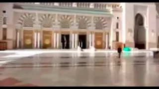 صفه لي يا من رأيت الحب ليلا   المنشد محمود الحمود دندنها