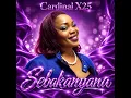 Sebakanyana