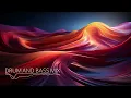 Drum and Bass Mix 2025 (Sub Focus, Dimension, Kanine, and more)