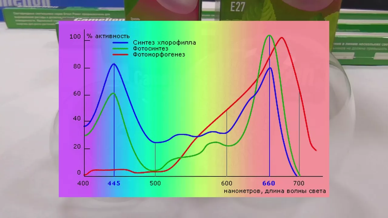 Спектр разнообразия. Спектр разнообразия. Линейчатый спектр излучения гелия. Спектр разнообразия. Спектр поглощения растений.