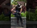 “Blue Yodel #1 (T for Texas)” | Lightnin’ Luke | Busking in Winchester, VA⚡️