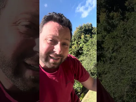 Cheirinho de culpado