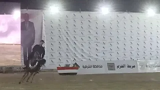 مفيش منها وإبراهيم غزال مهرجان الشرقيه 2023 