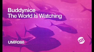 buddynice buddy s anthem redemial mix um records