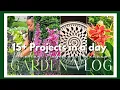 Download Lagu I Did 15+ Garden Projects in 1 Day! | Garden With Me 👩🏾‍🌾| Backyard Updates