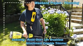 Unboxing Review Ryobi One 18 Volt Cordless Attachment Capable Brushless Trimmer