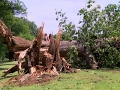 Raw Major Power Outages in Memphis After Storm