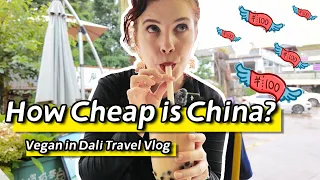 我在云南大理一天花多少钱｜纯素旅行中国Vlog
