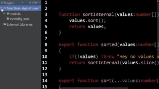 TypeScript Function Signatures and Overloading ts