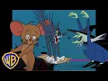 Download Lagu Tom y Jerry en Latino | ¡Momentos escalopectaculares! 🦇👻 | Halloween | @WBKidsLatino