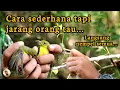Download Lagu Lem Pulut Tidak Nempel Pada Bulu Burung Coba Cara Ini