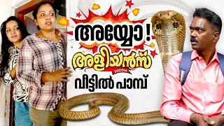  aliyans vava suresh snakemaster