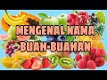 Download Lagu BELAJAR MENGENAL NAMA BUAH-BUAHAN