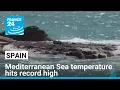 Mediterranean Sea temperature reaches record high FRANCE 24 English