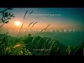 The Best of Giovanni Allevi | Relaxing Piano Music | [1 HOUR]