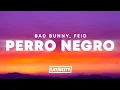 Bad Bunny, Feid - PERRO NEGRO (Letra)