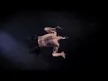 Carnival Cinema x Showreel 2014