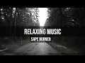 Relaxing Music -Sape Borneo (Free No Copyright Music)