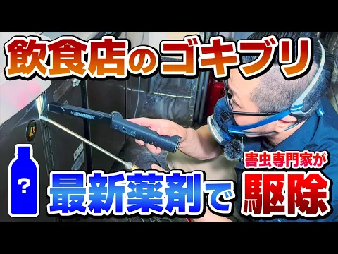 ★2回施工セット料金★チャバネ必ず減らします★YouTube出演★追加料金無し★