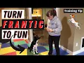 Susan Garrett s Tip for Training Frantic Dogs Stimulus Control