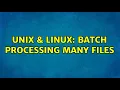 Unix Linux Batch processing many files 2 Solutions